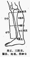 地根穴|醫砭 » 經穴庫 » 地機